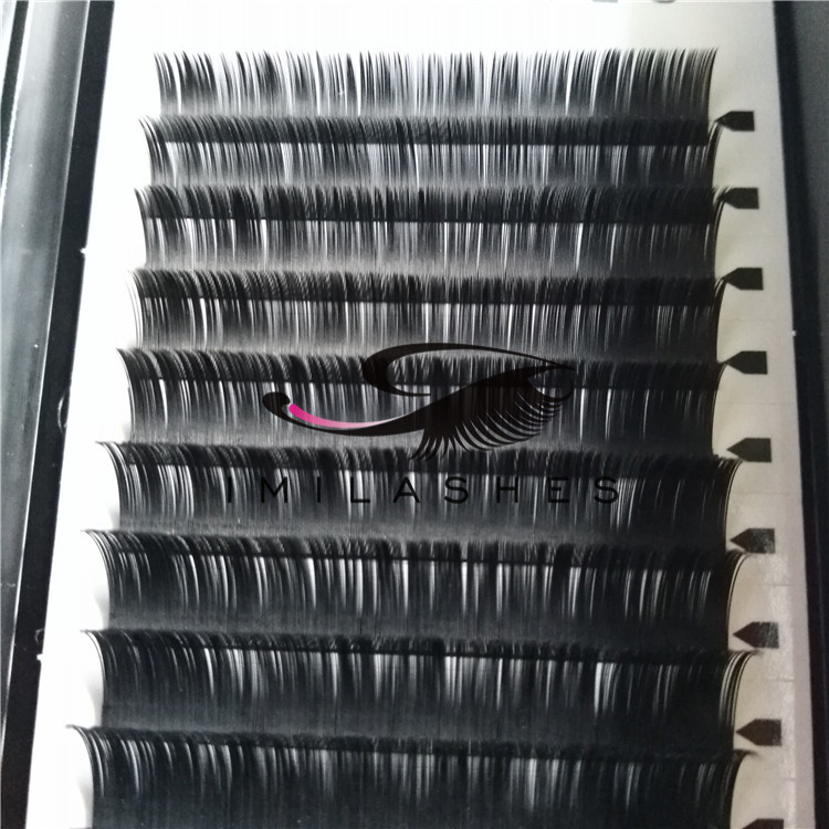 lash extensions before and after952721.jpg lash extensions before and after.jpg
